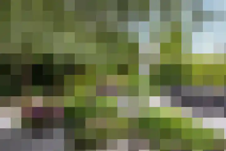 Lepelaar 24 Leusden thumbnail 40