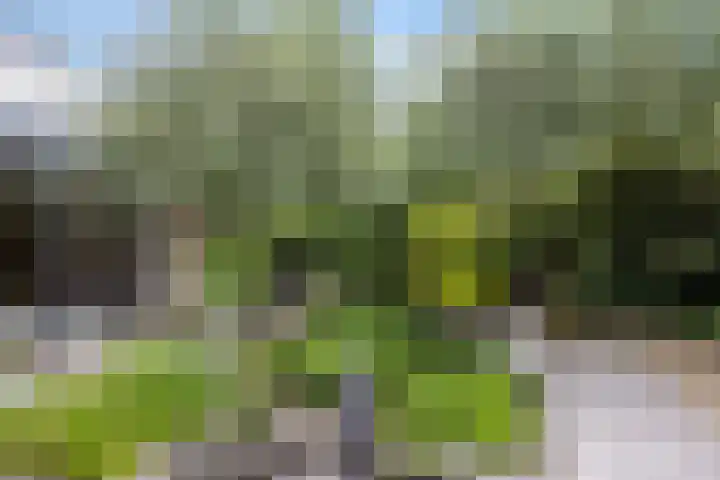 Lepelaar 24 Leusden thumbnail 41