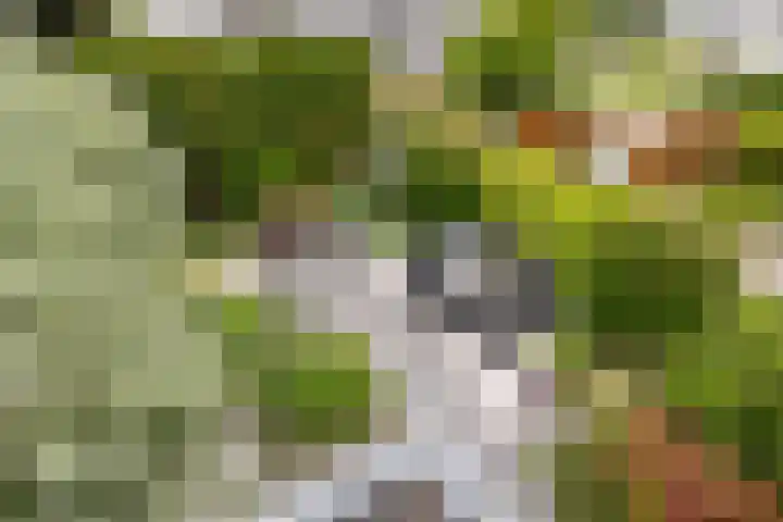 Lepelaar 24 Leusden thumbnail 42