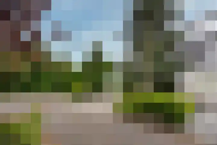 Lepelaar 24 Leusden thumbnail 44