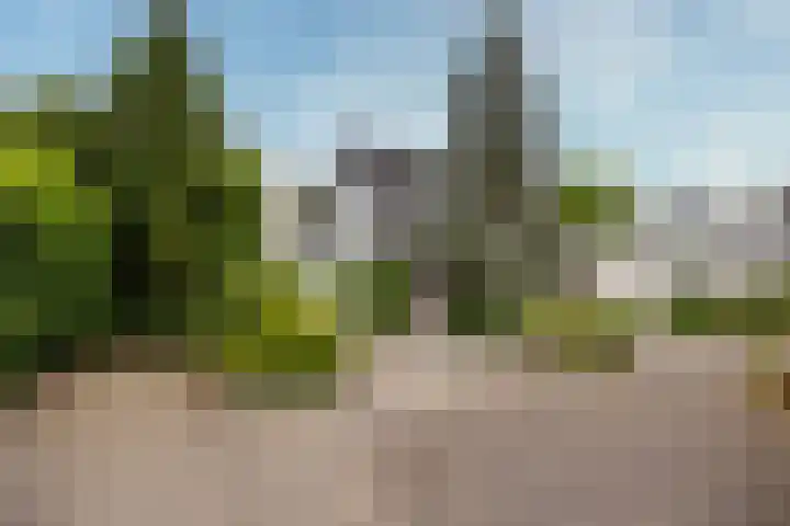 Lepelaar 24 Leusden thumbnail 45