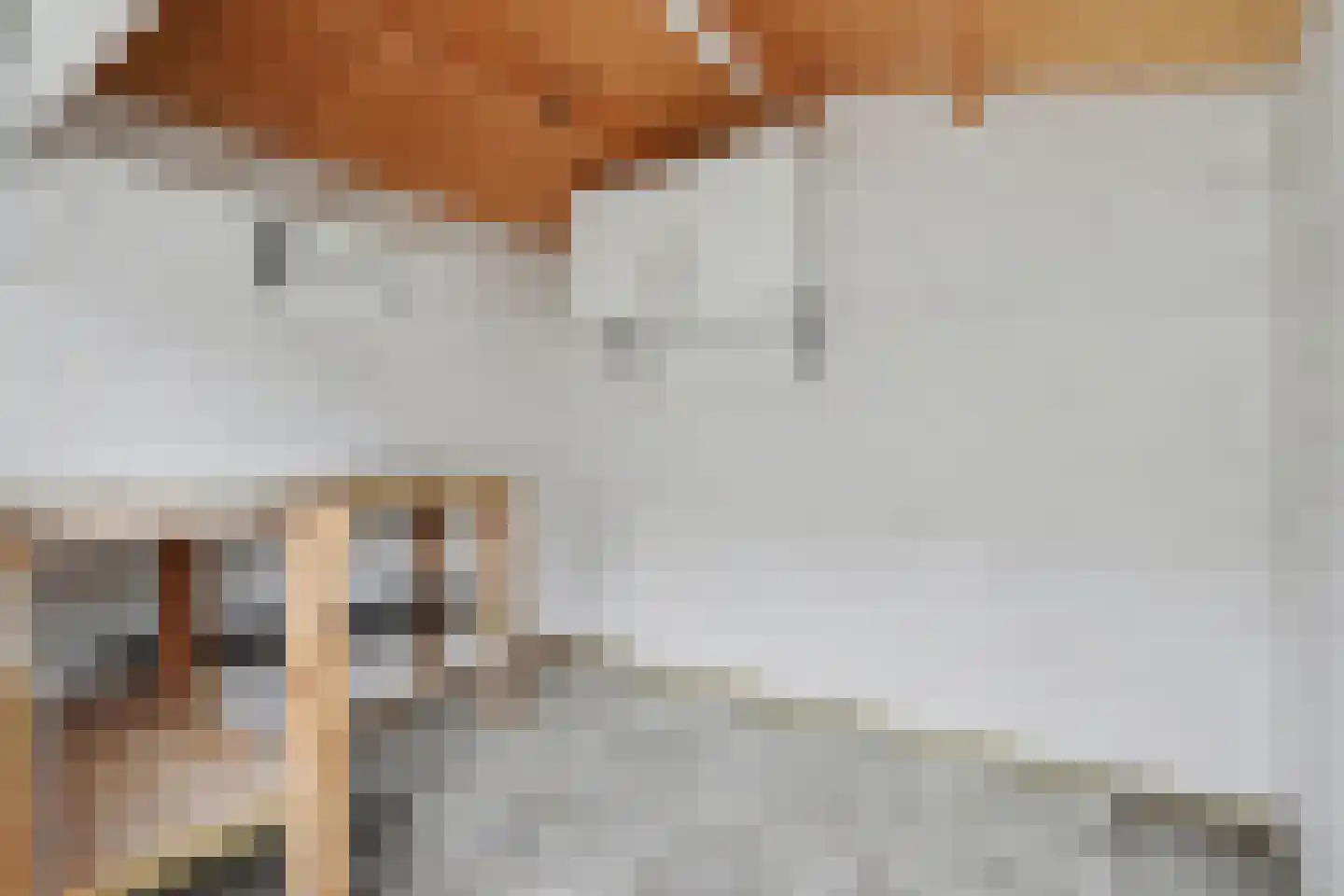 Lepelaar 28 Oud-Beijerland thumbnail 38