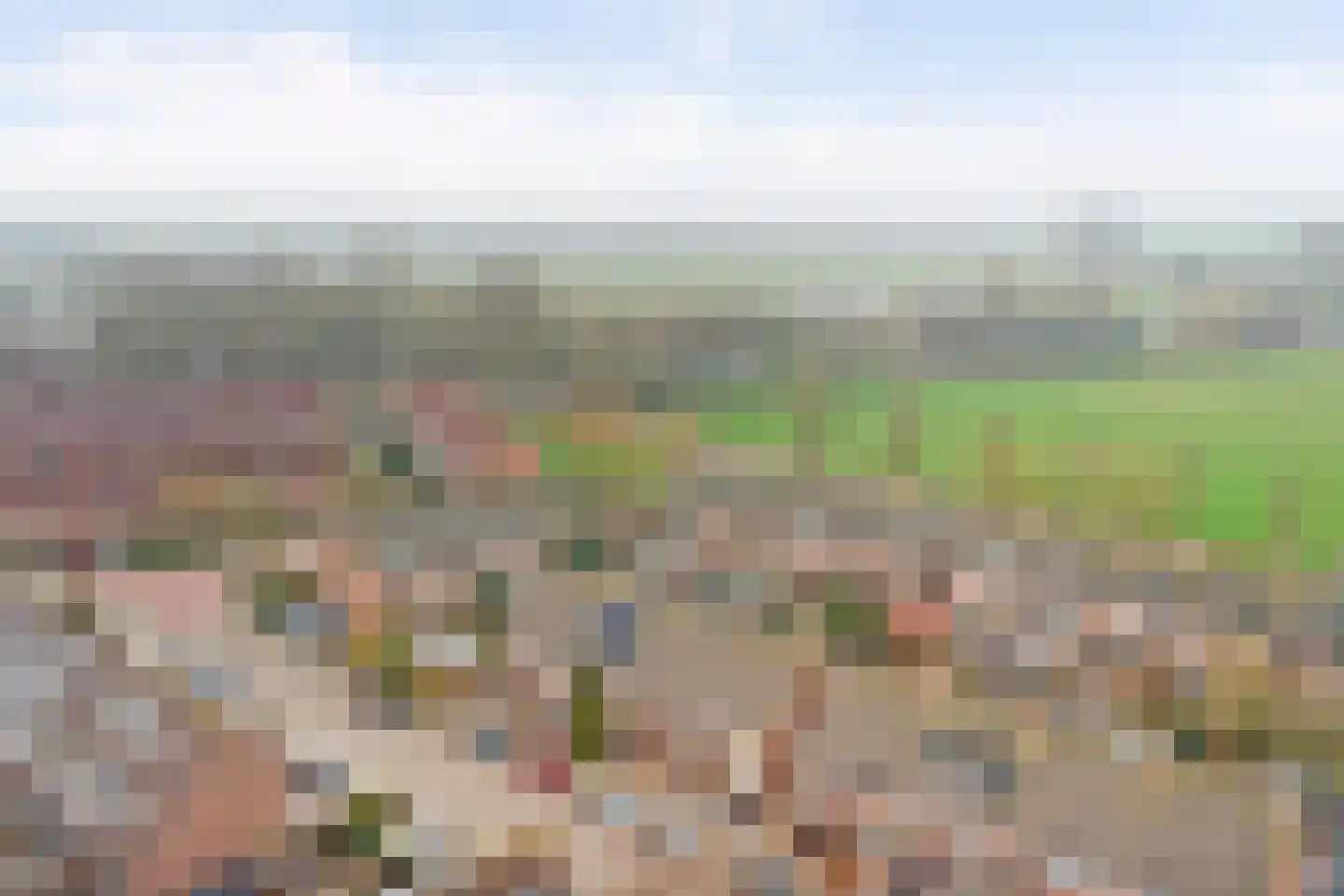 Lepelaar 28 Oud-Beijerland thumbnail 42
