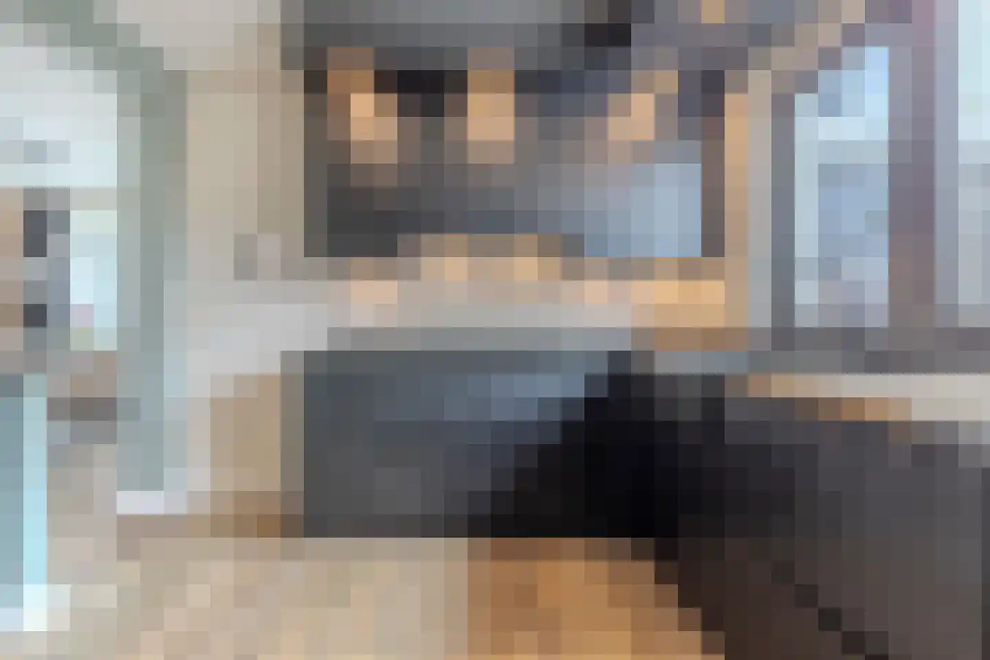 Lepelaar 29 Geldrop thumbnail 16