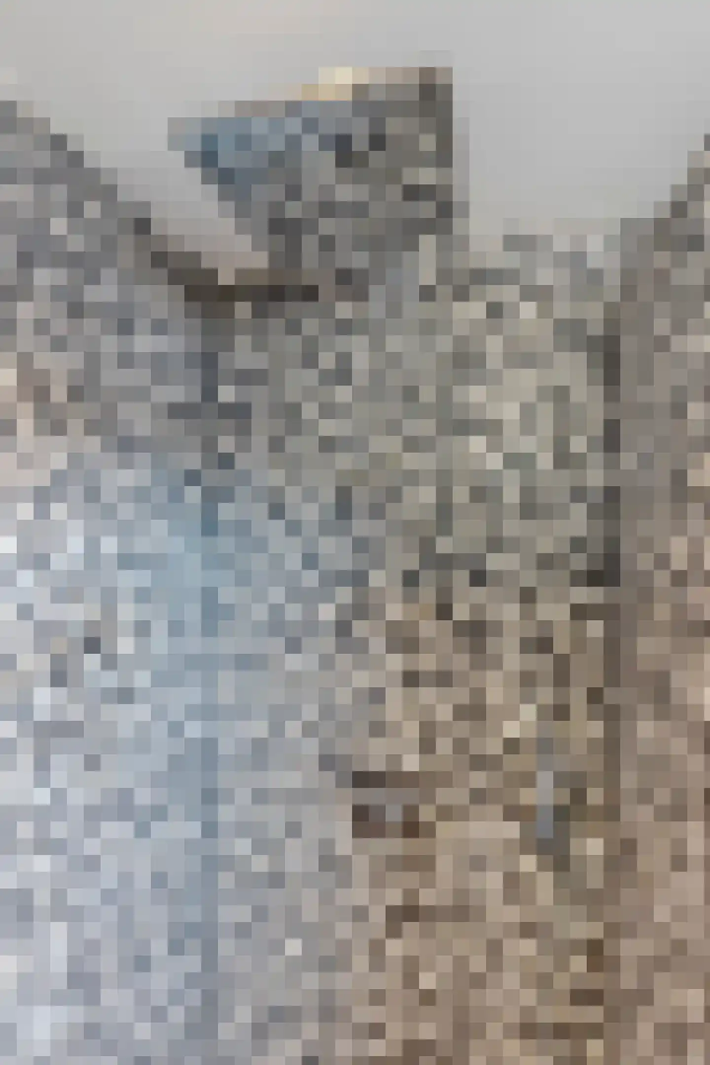 Lepelaar 29 Geldrop thumbnail 36