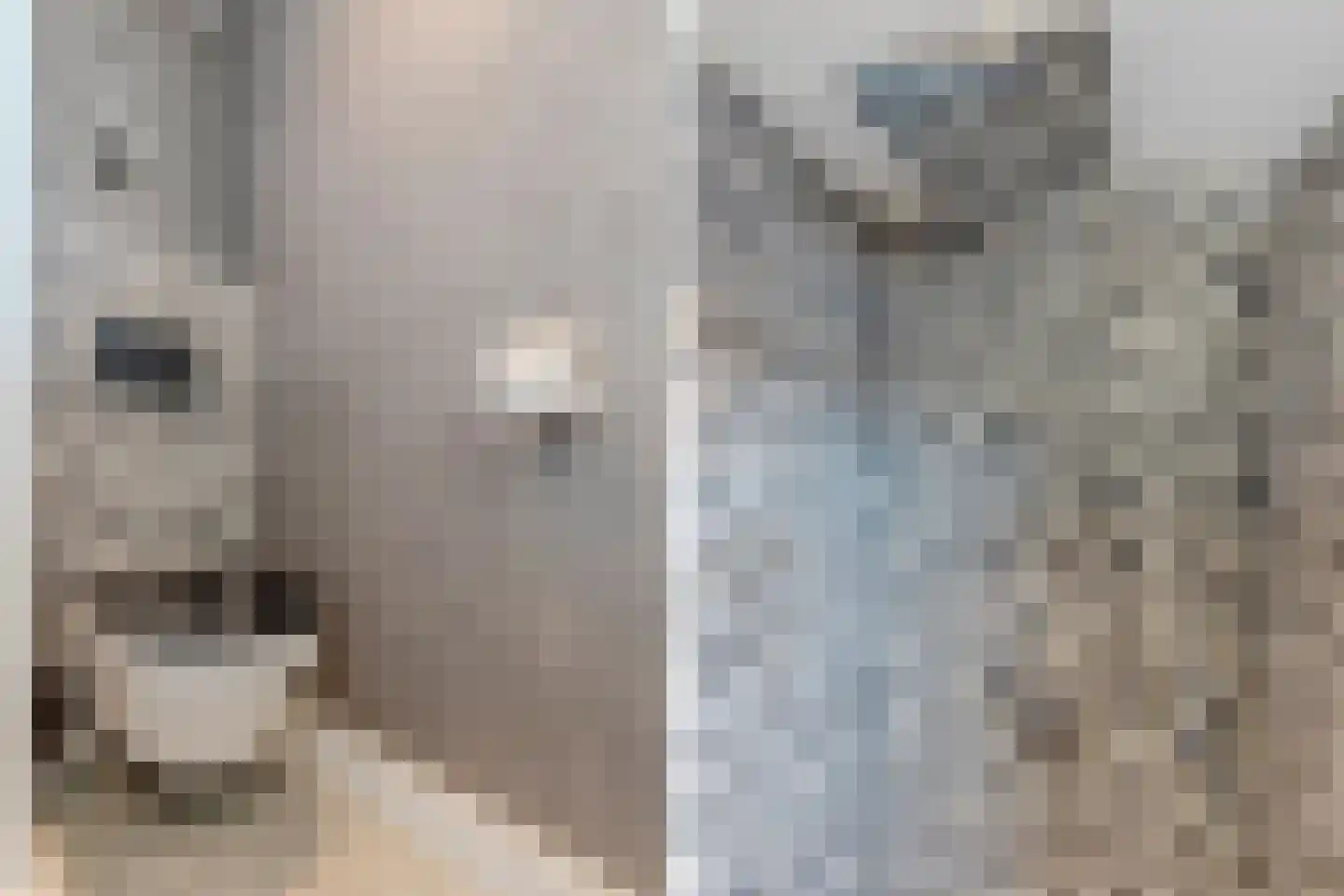 Lepelaar 29 Geldrop thumbnail 37
