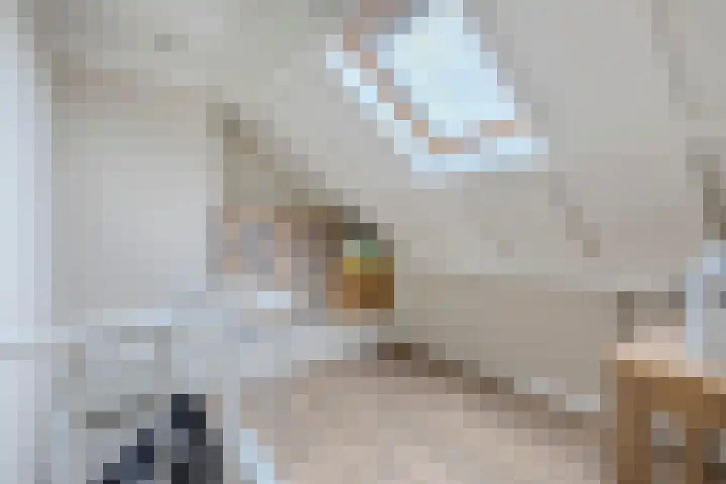 Lepelaar 29 Geldrop thumbnail 39
