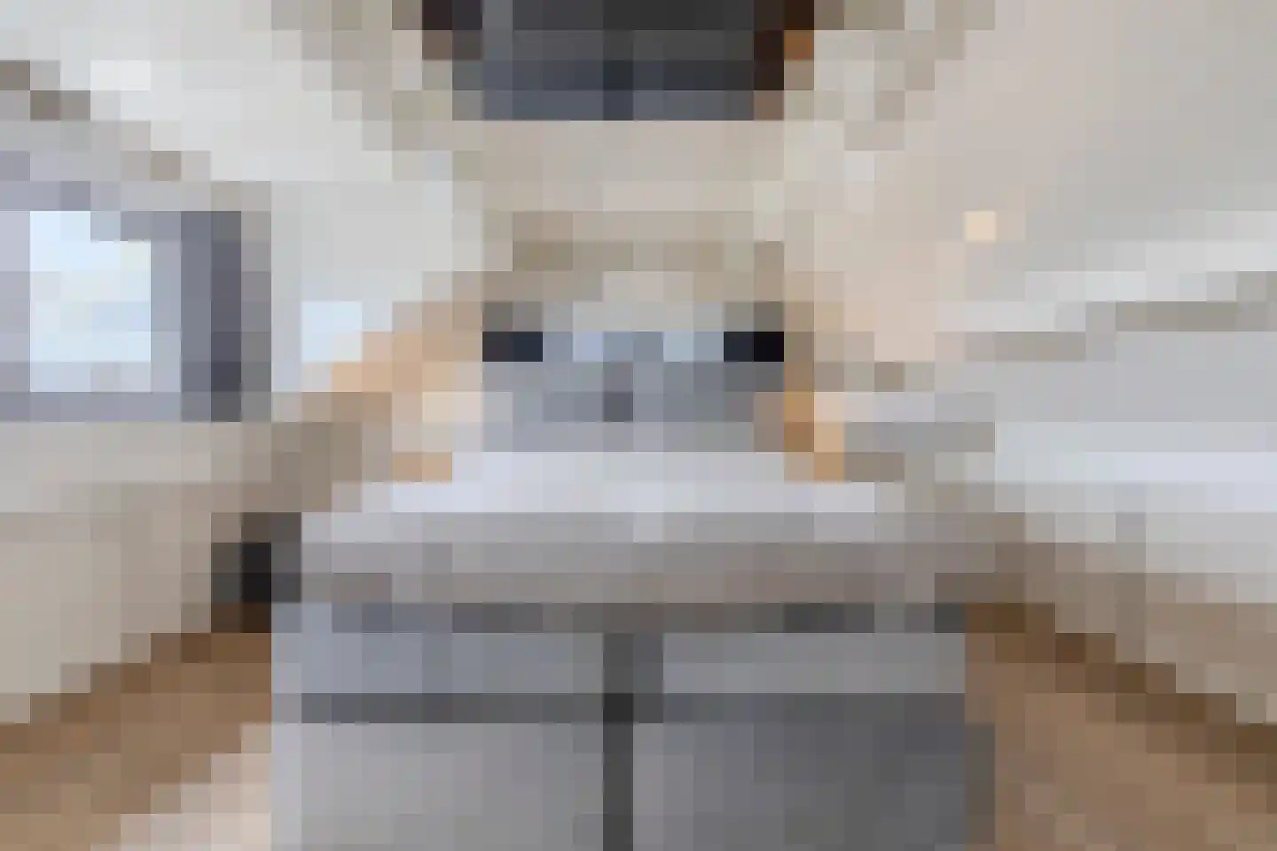 Lepelaar 29 Geldrop thumbnail 41