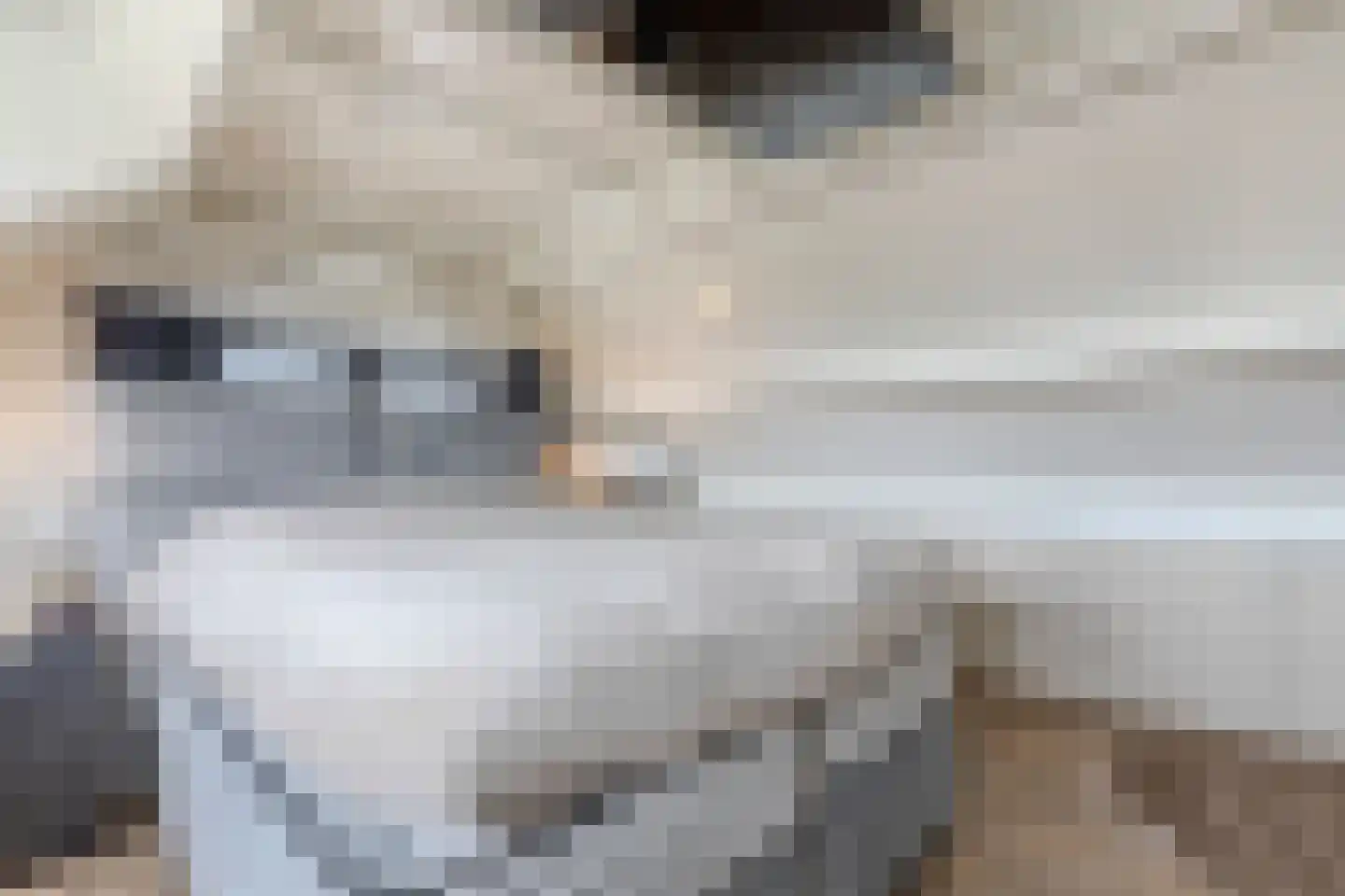 Lepelaar 29 Geldrop thumbnail 42