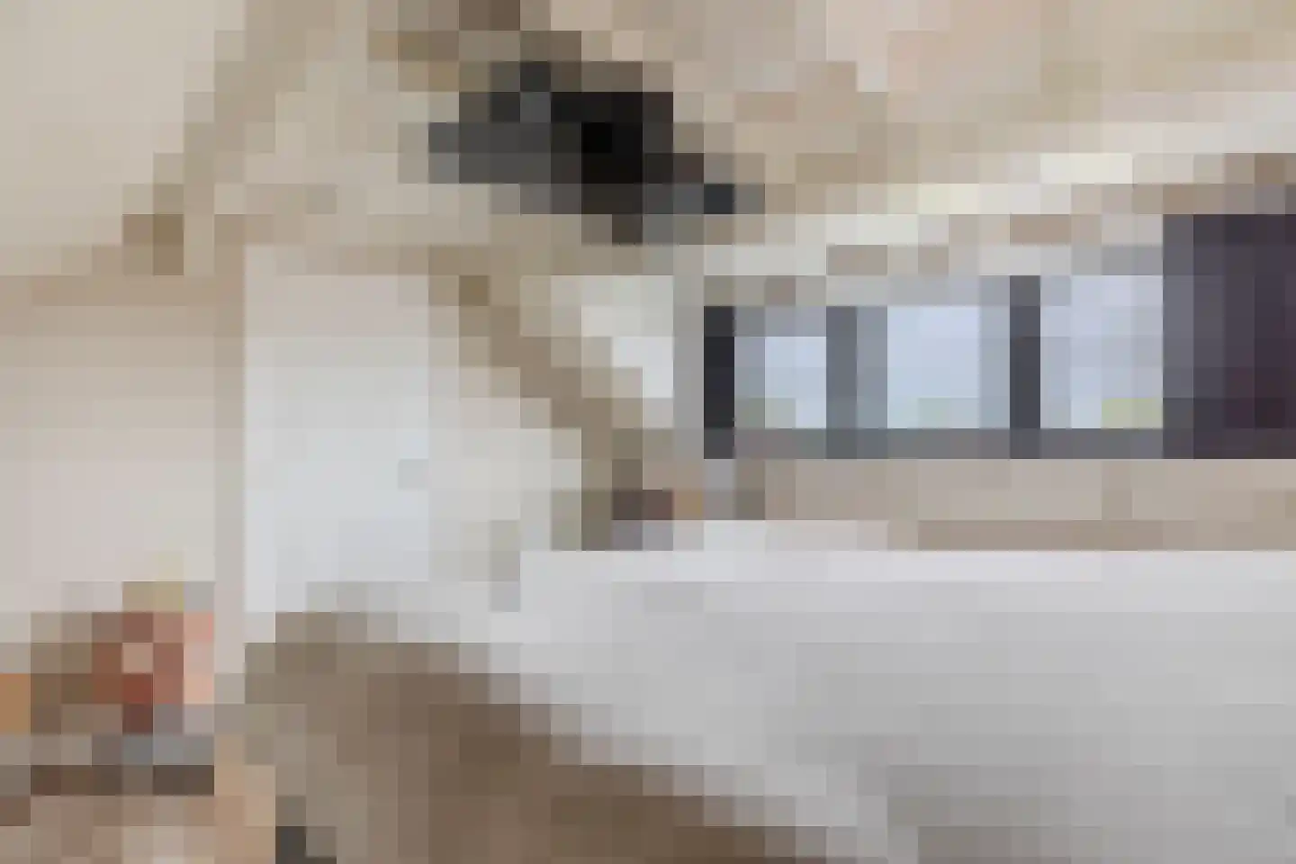 Lepelaar 29 Geldrop thumbnail 43