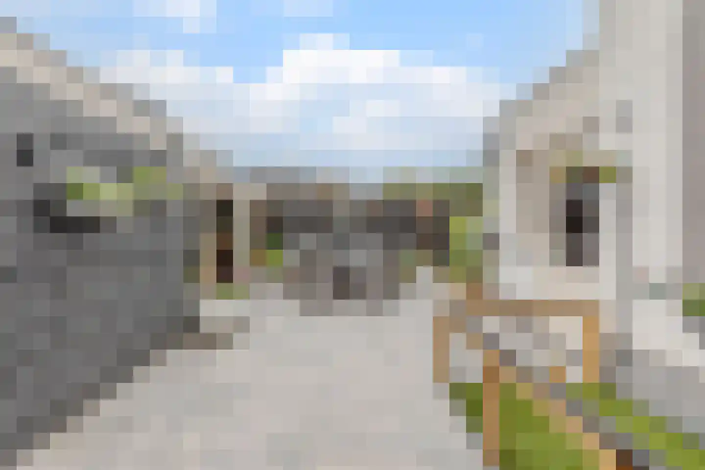 Lepelaar 29 Geldrop thumbnail 44