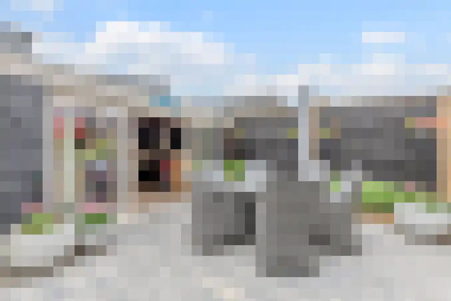 Lepelaar 29 Geldrop thumbnail 46