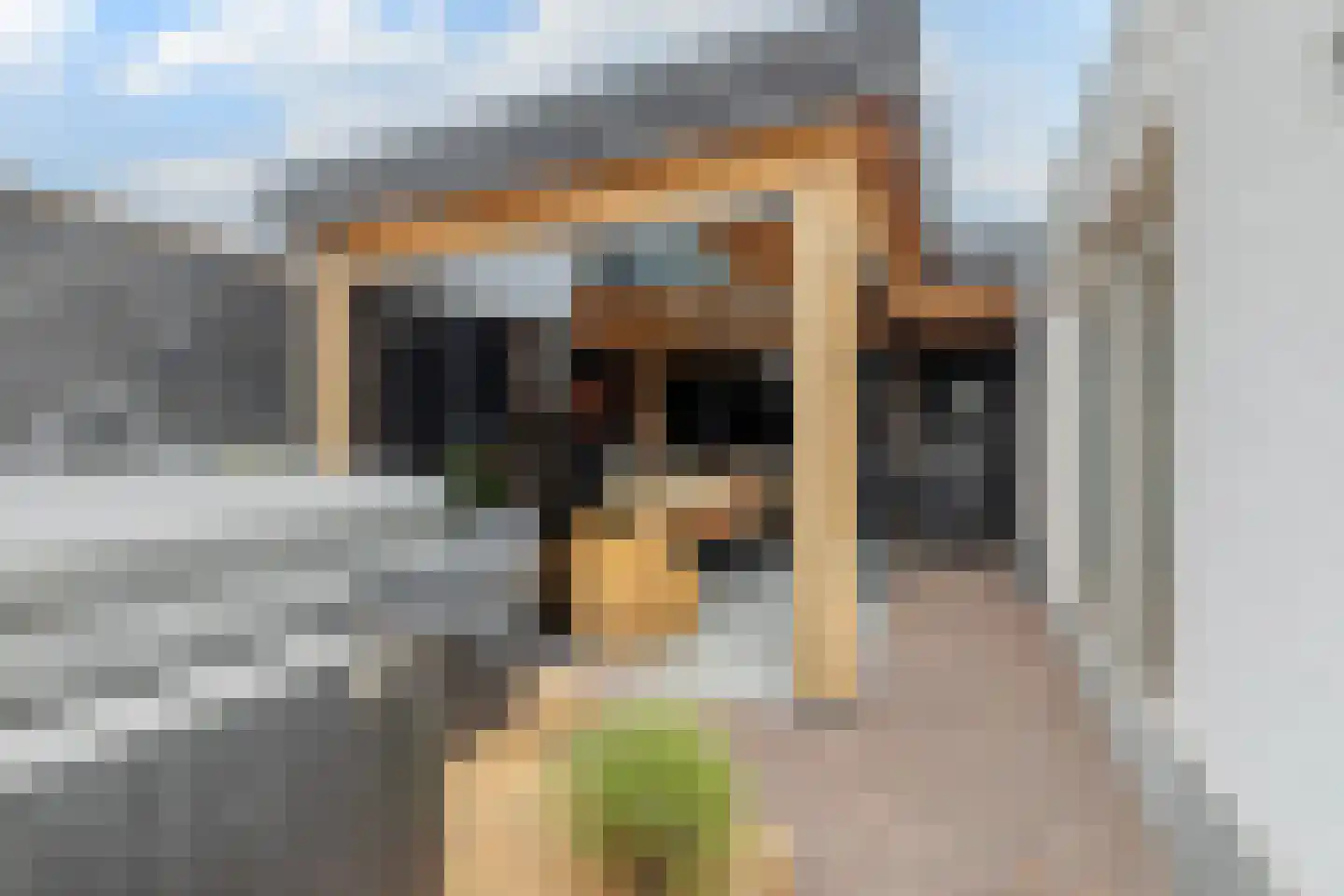 Lepelaar 29 Geldrop thumbnail 55