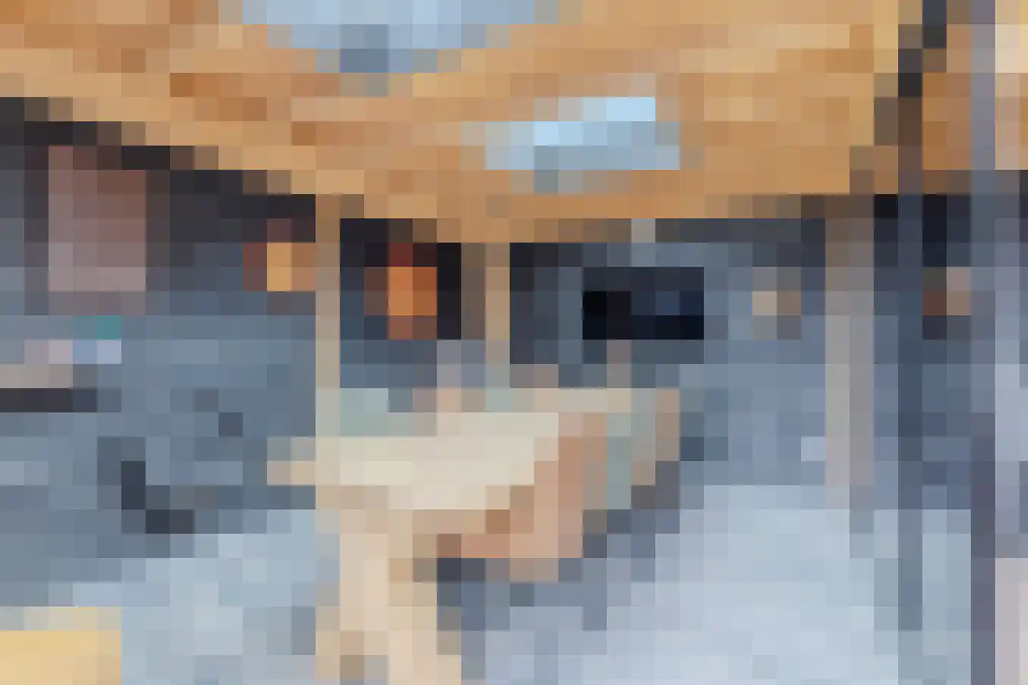 Lepelaar 29 Geldrop thumbnail 56