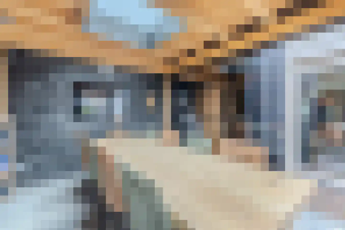 Lepelaar 29 Geldrop thumbnail 58