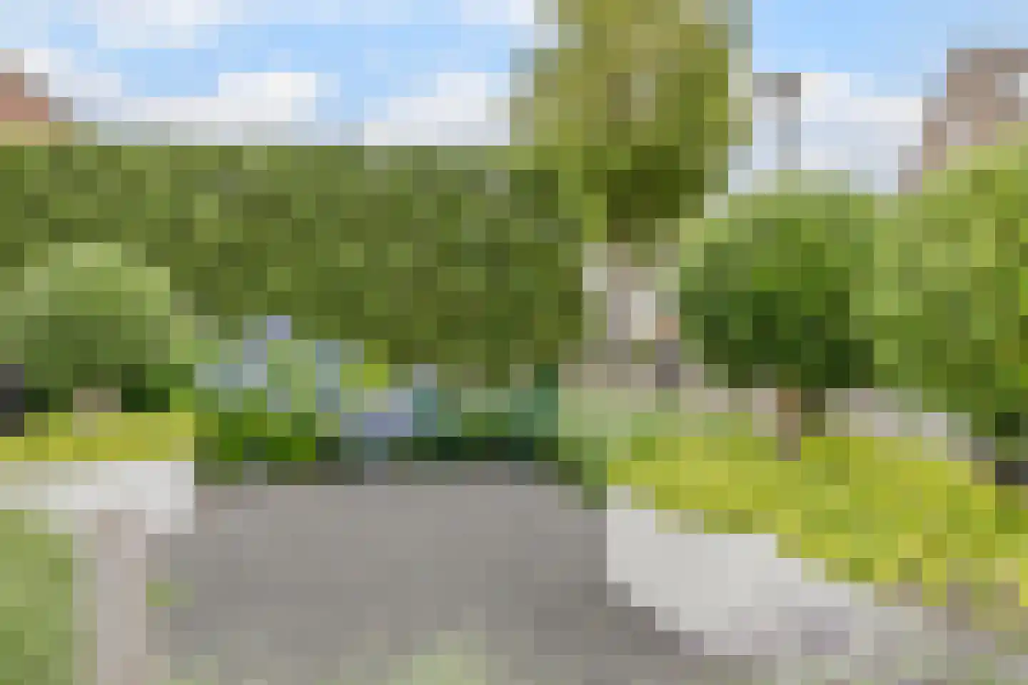 Lepelaar 29 Geldrop thumbnail 63
