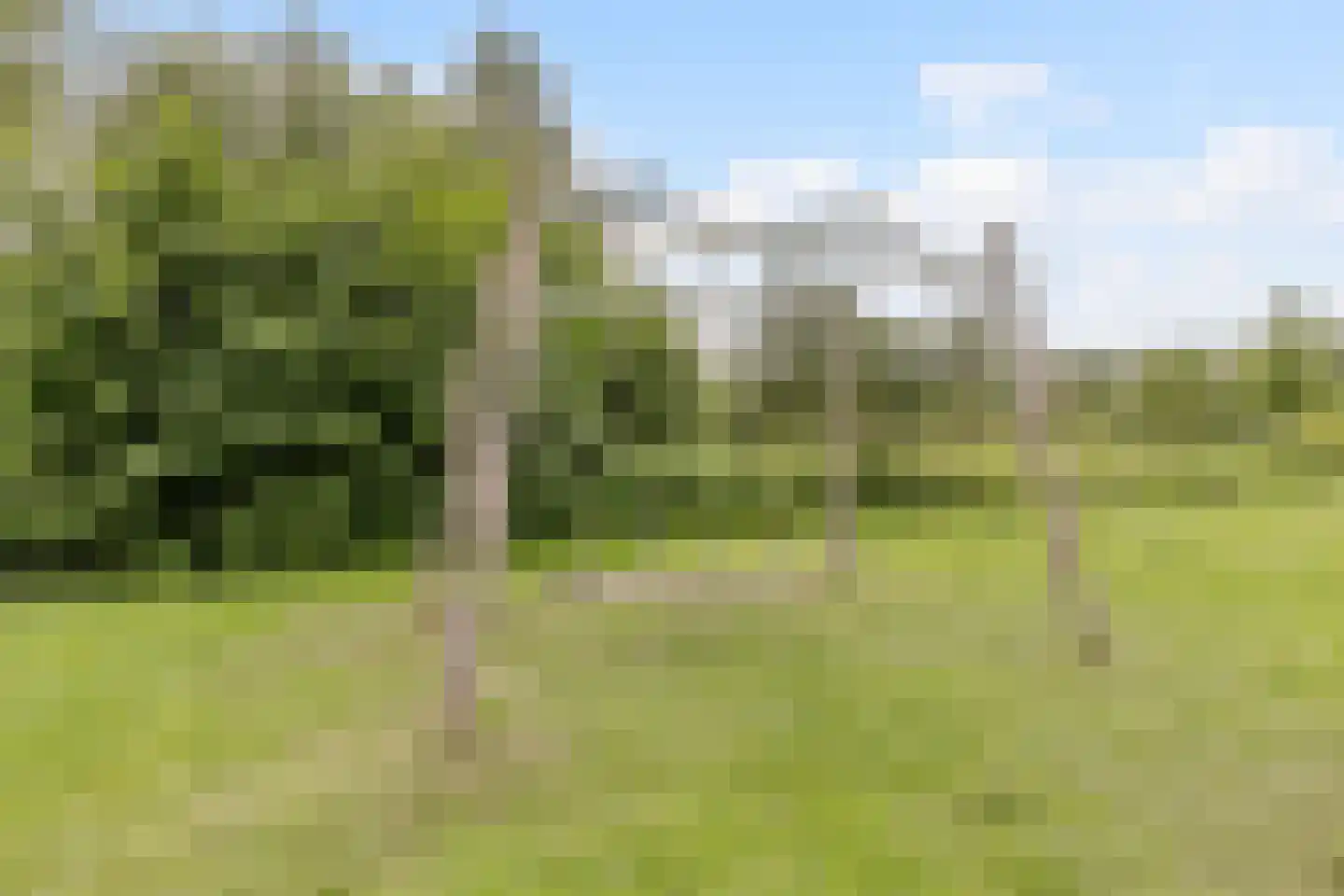 Lepelaar 29 Geldrop thumbnail 72