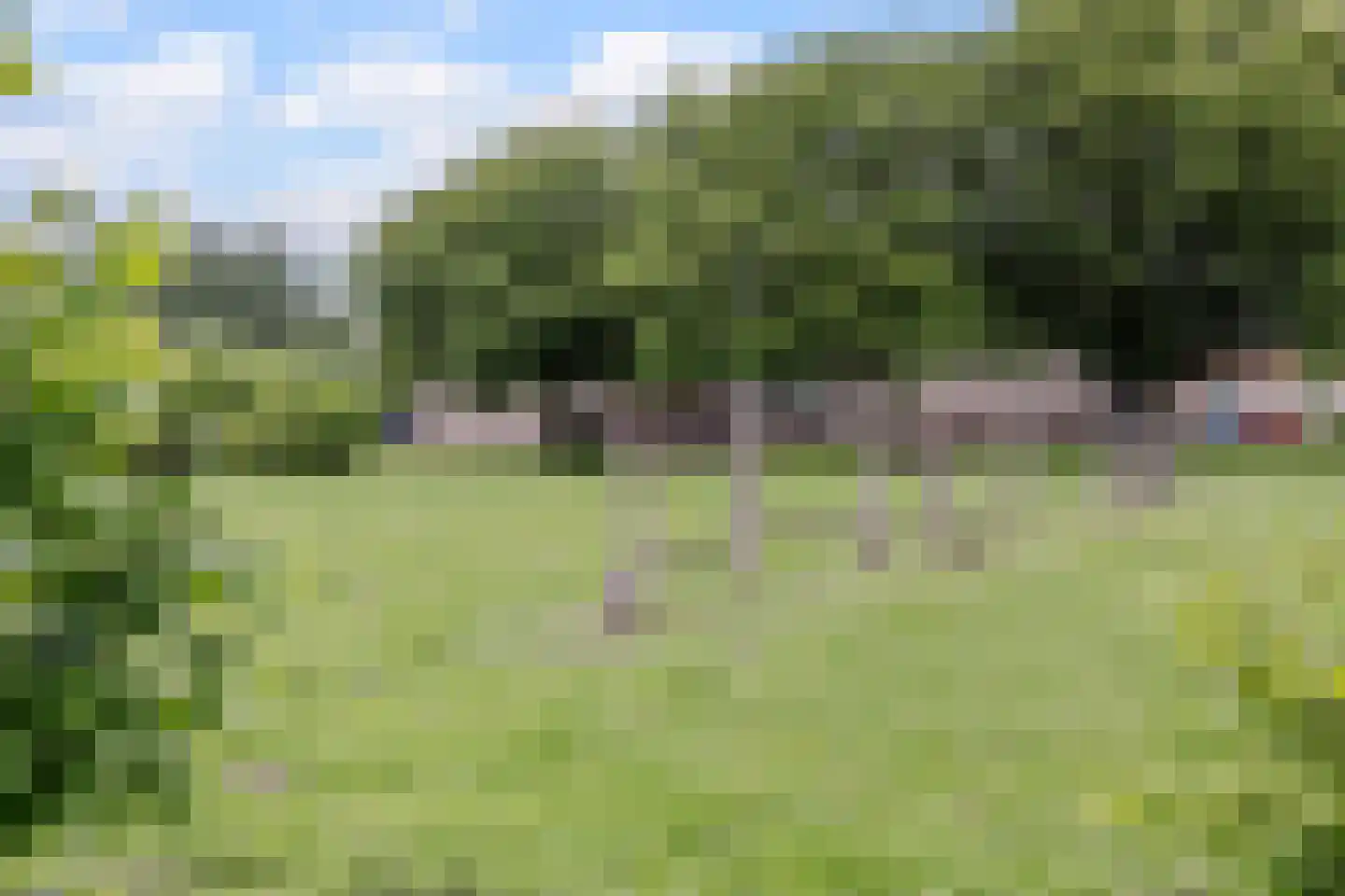 Lepelaar 29 Geldrop thumbnail 73