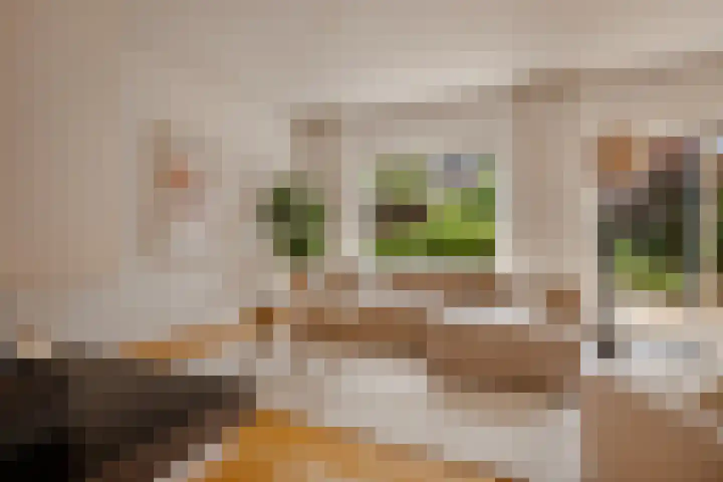 Lepelaar 3 Blaricum thumbnail 10