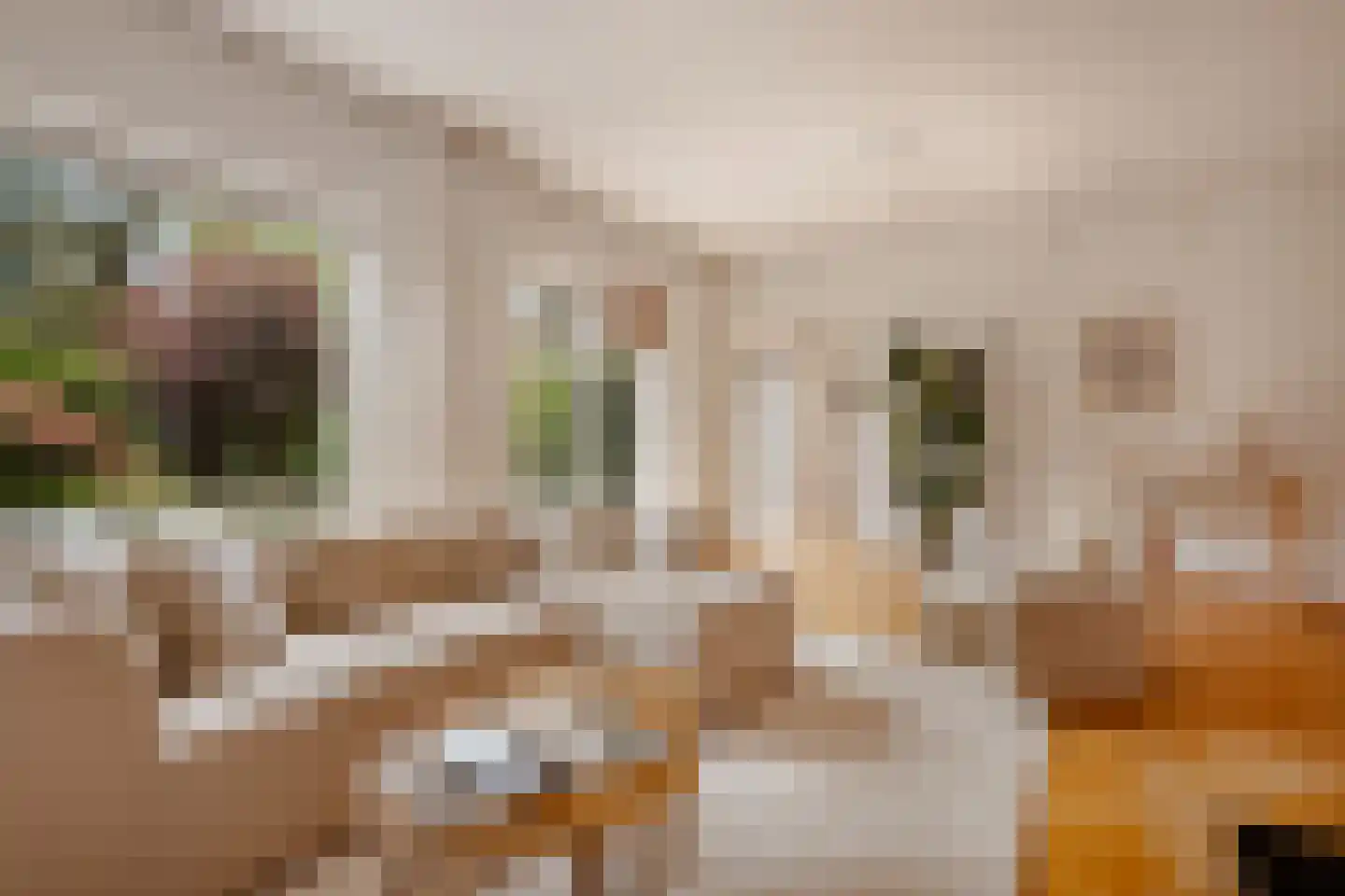 Lepelaar 3 Blaricum thumbnail 11