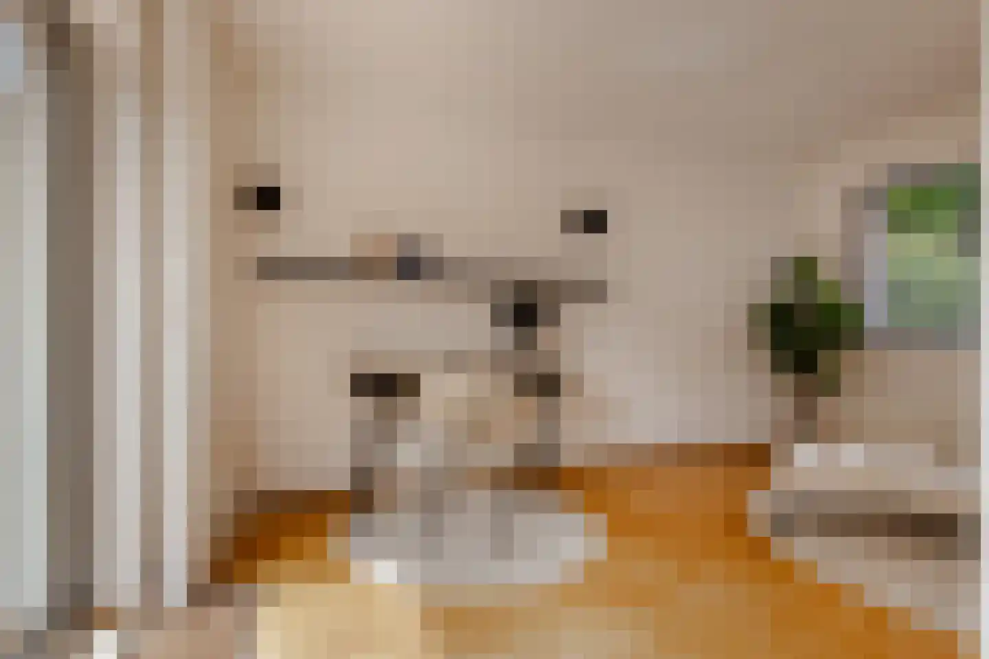 Lepelaar 3 Blaricum thumbnail 15