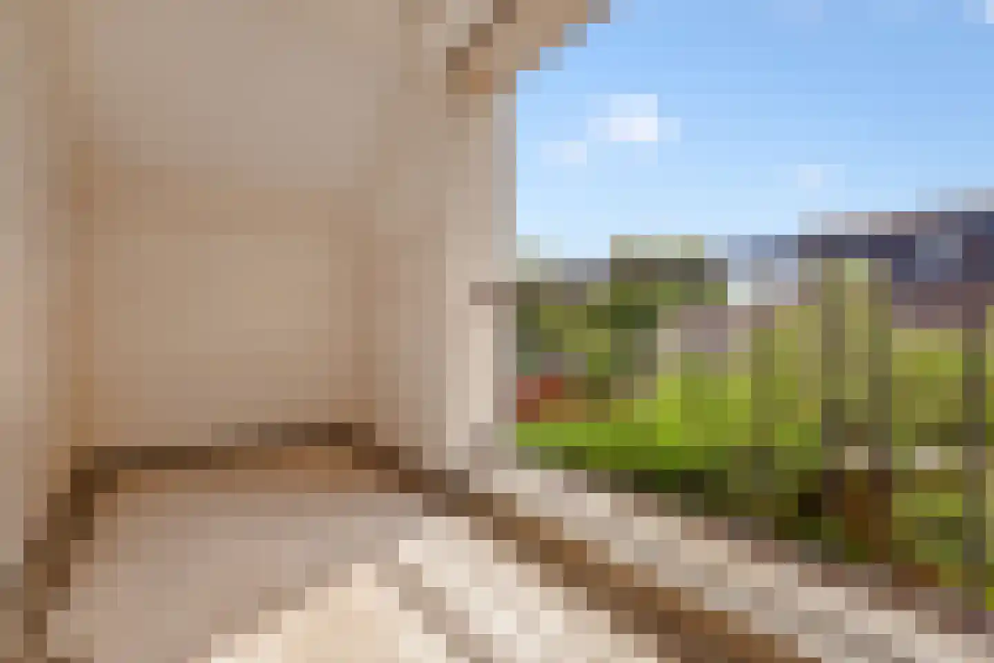 Lepelaar 3 Blaricum thumbnail 31
