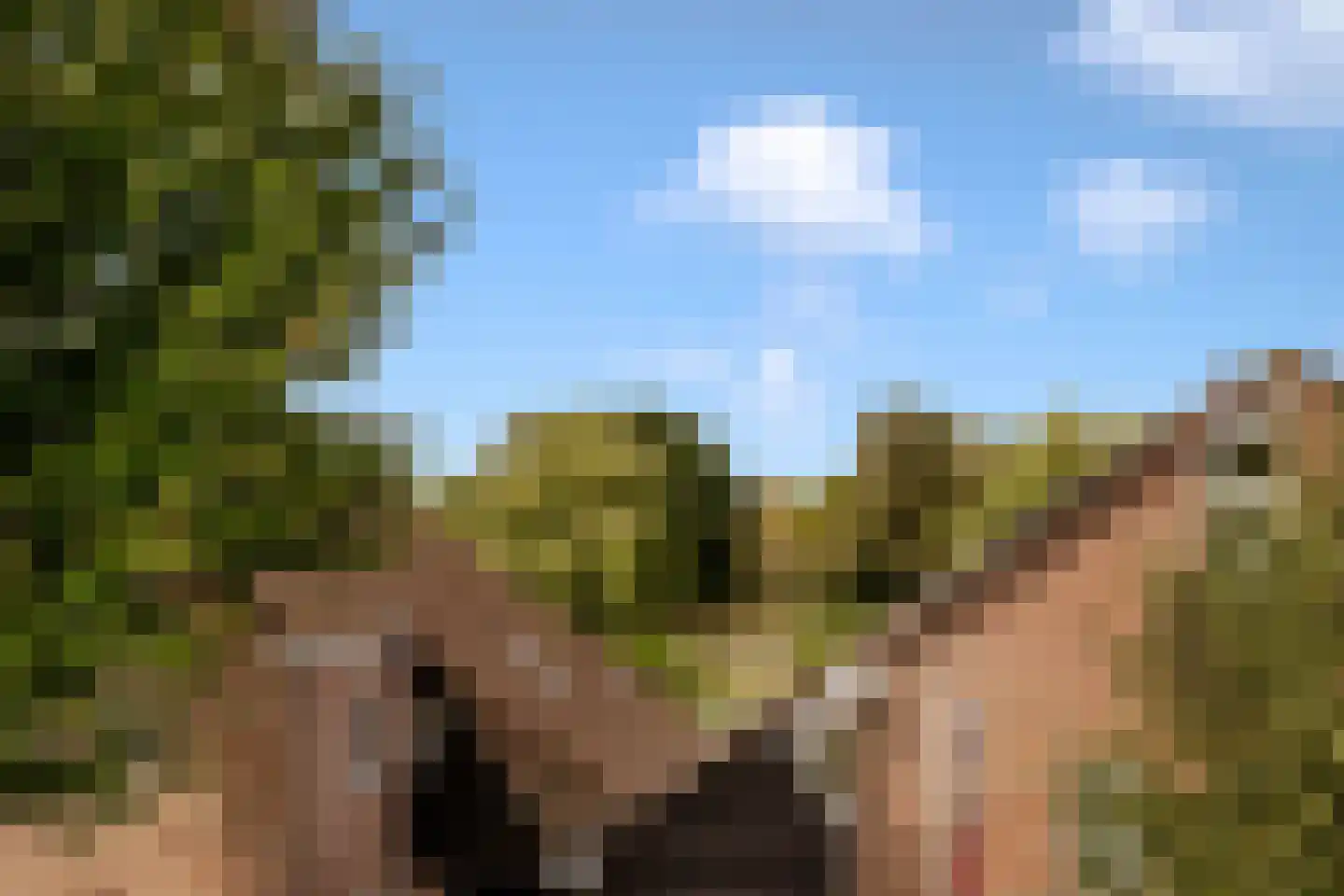 Lepelaar 3 Blaricum thumbnail 39