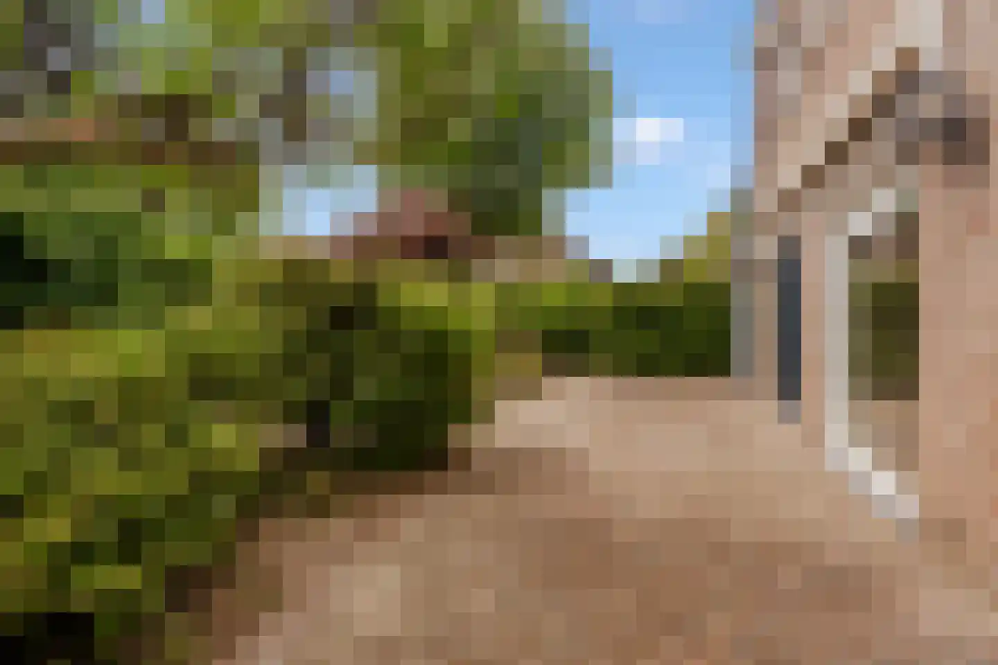 Lepelaar 3 Blaricum thumbnail 46