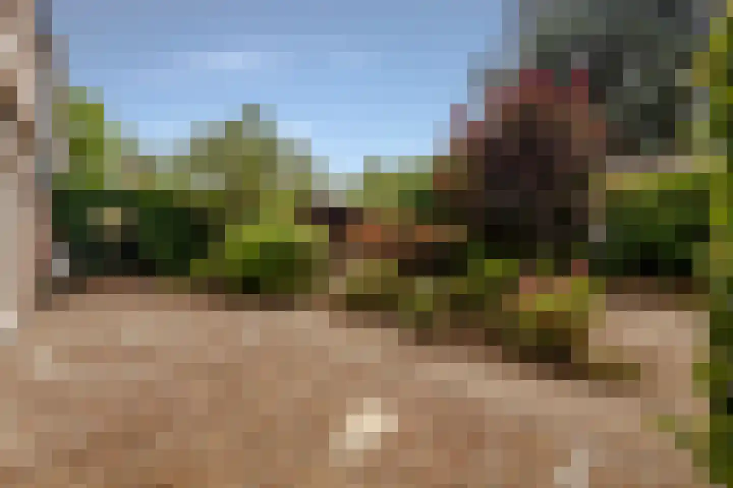 Lepelaar 3 Blaricum thumbnail 47