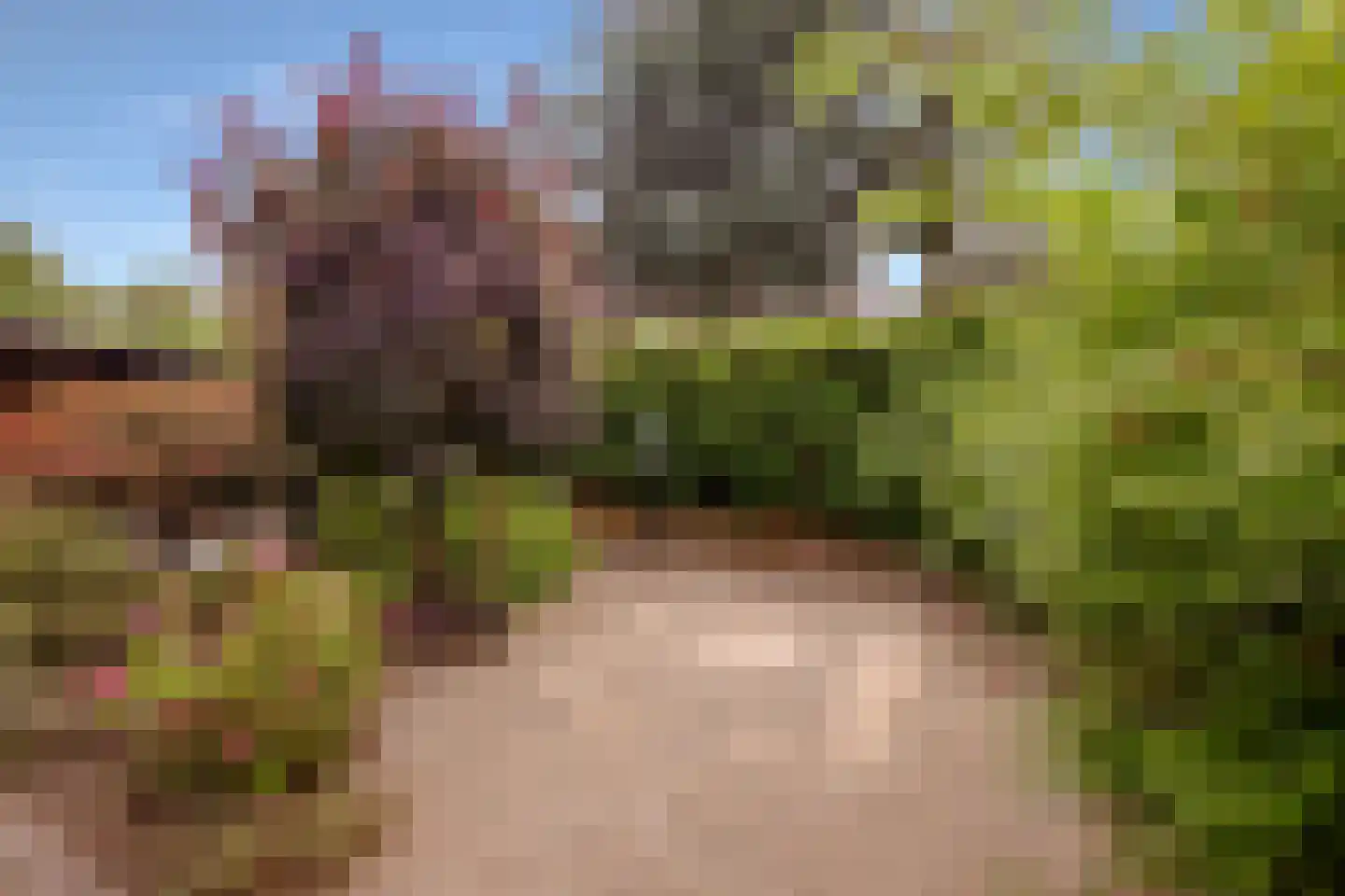 Lepelaar 3 Blaricum thumbnail 48