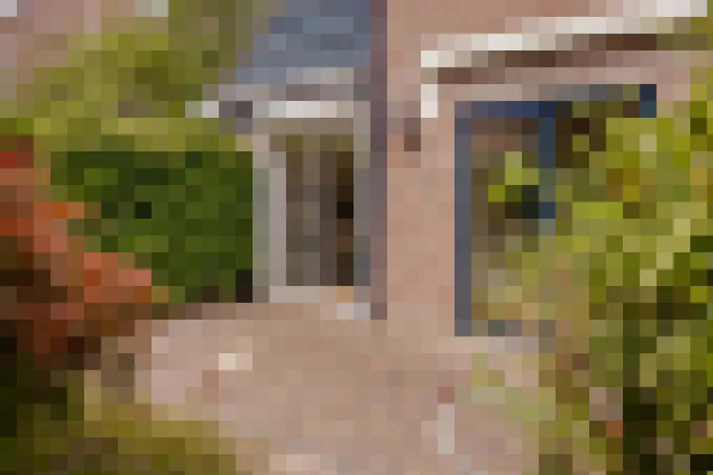 Lepelaar 3 Blaricum thumbnail 50