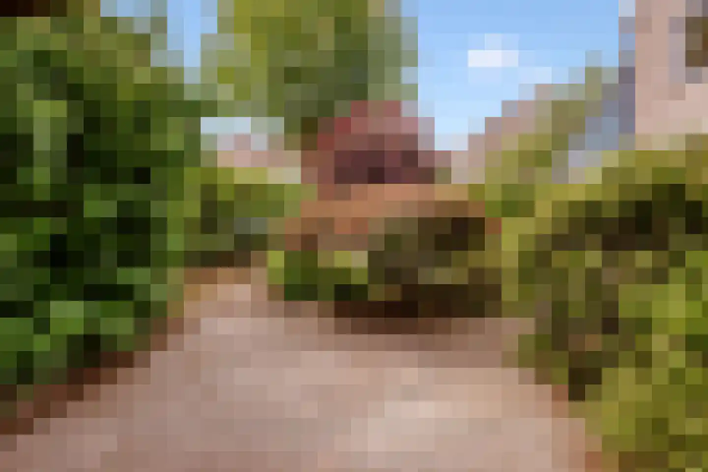 Lepelaar 3 Blaricum thumbnail 51