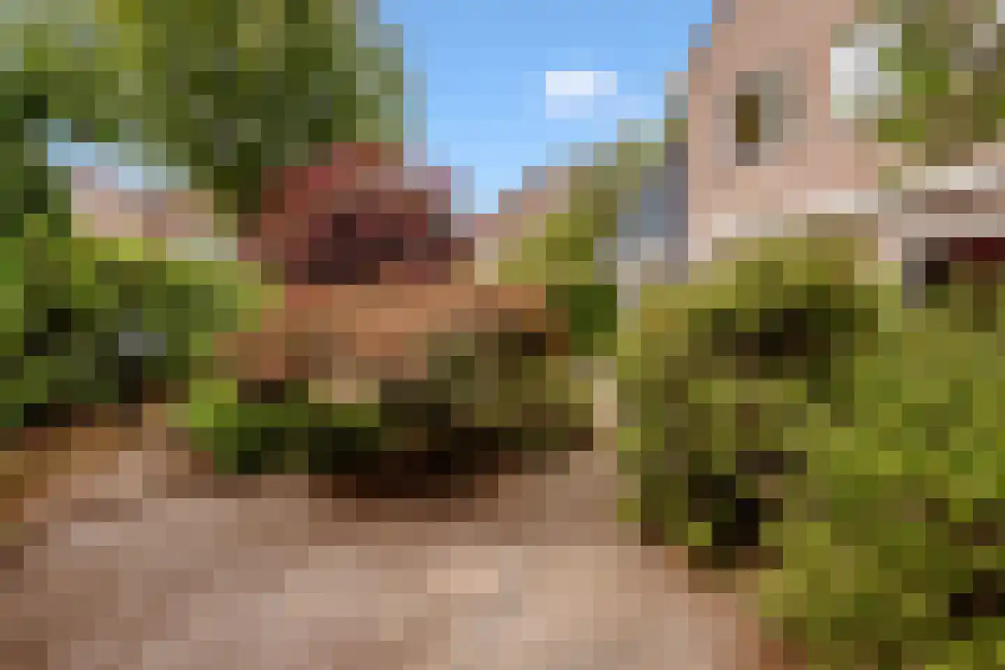 Lepelaar 3 Blaricum thumbnail 52