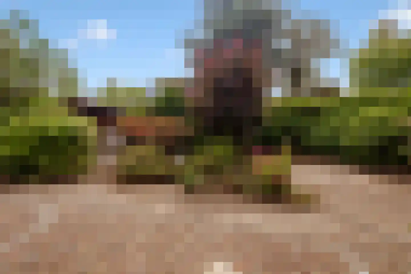 Lepelaar 3 Blaricum thumbnail 53