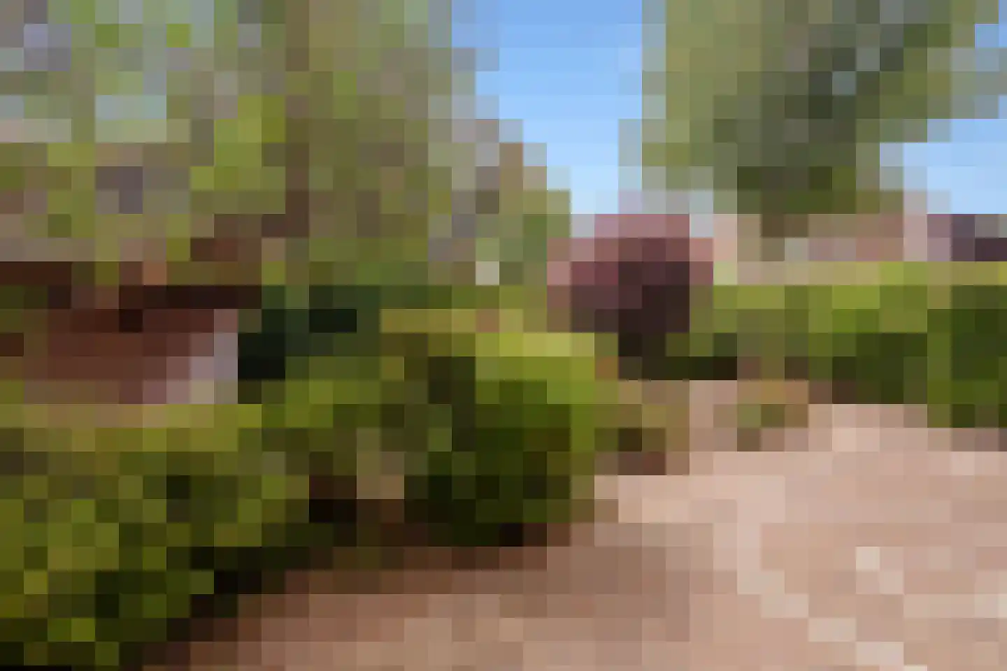 Lepelaar 3 Blaricum thumbnail 54