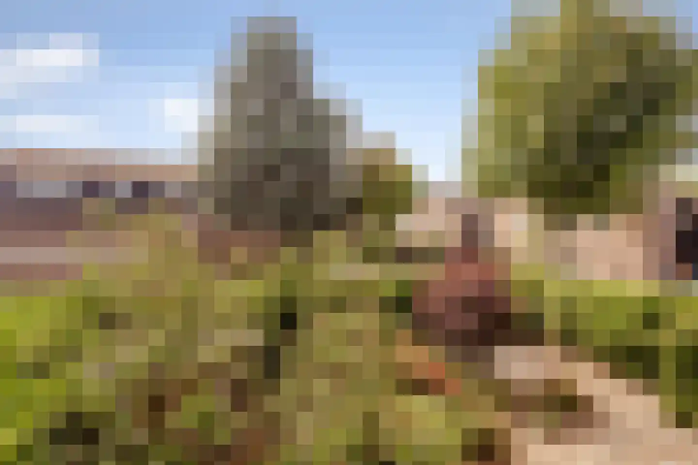 Lepelaar 3 Blaricum thumbnail 55
