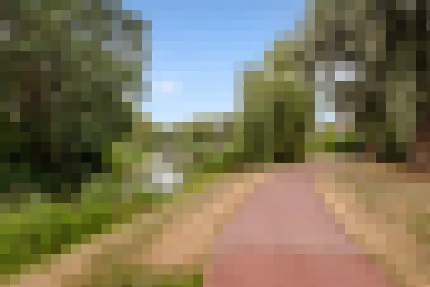 Lepelaar 3 Blaricum thumbnail 57