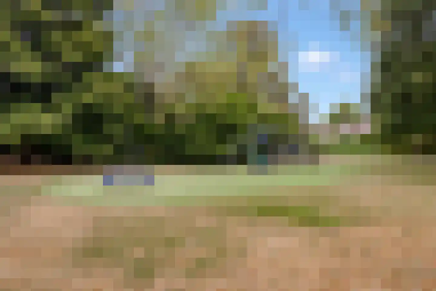 Lepelaar 3 Blaricum thumbnail 58