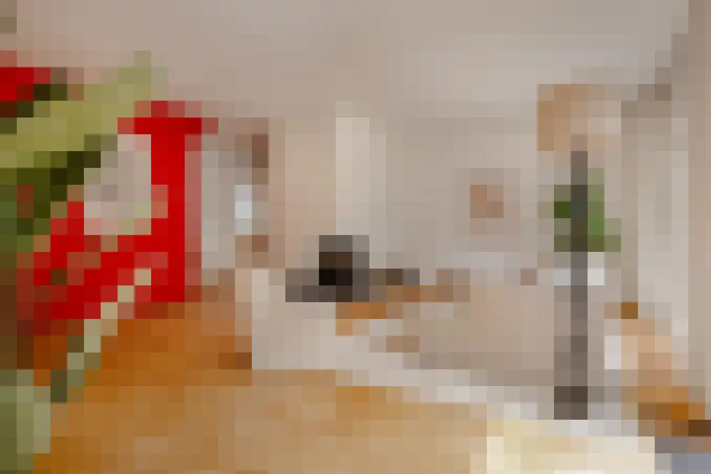 Lepelaar 3 Blaricum thumbnail 7