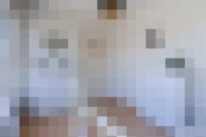 Lepelaar 30 Geldrop thumbnail 22