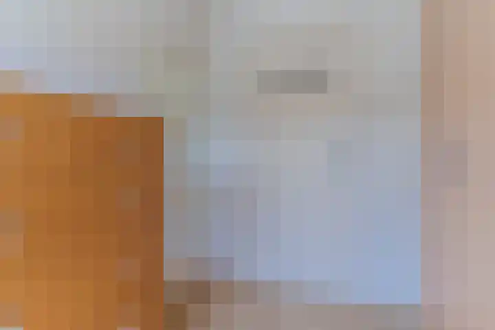 Lepelaar 30 Geldrop thumbnail 24