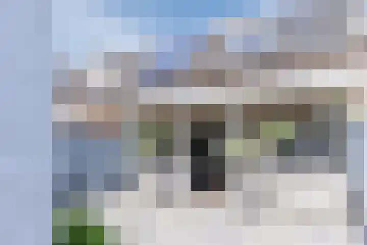 Lepelaar 30 Geldrop foto 3
