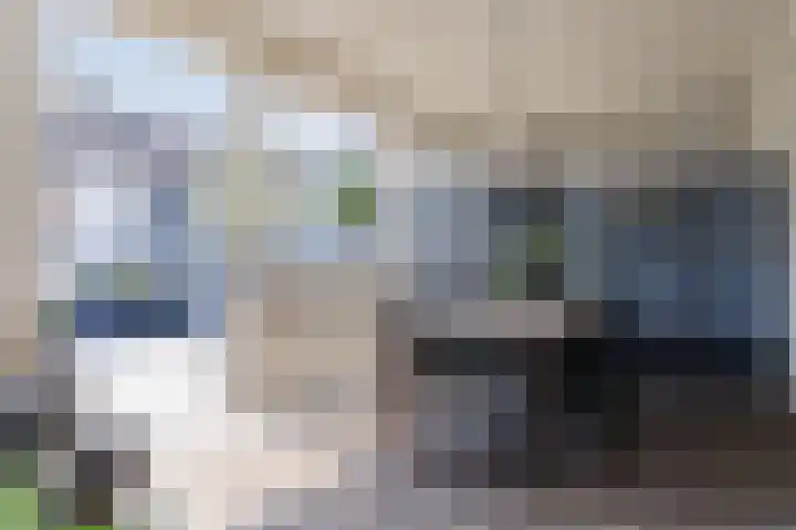 Lepelaar 30 Geldrop thumbnail 38
