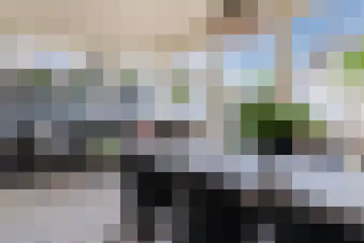 Lepelaar 30 Geldrop thumbnail 39