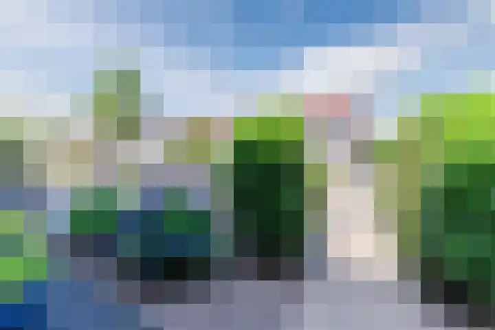 Lepelaar 30 Geldrop thumbnail 43