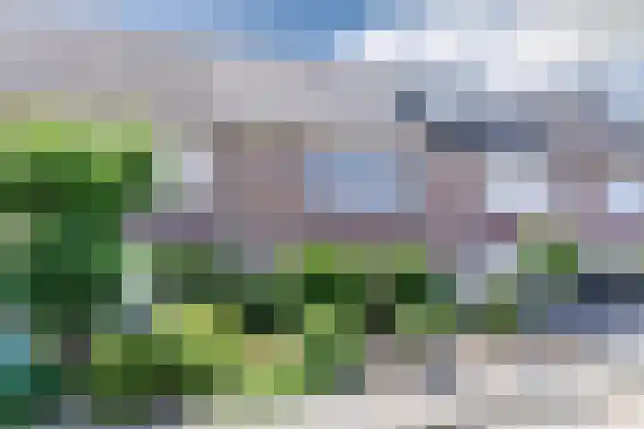 Lepelaar 30 Geldrop thumbnail 46