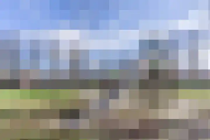 Lepelaar 30 Geldrop thumbnail 45