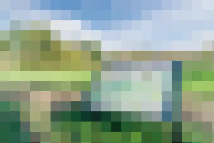 Lepelaar 30 Geldrop thumbnail 50