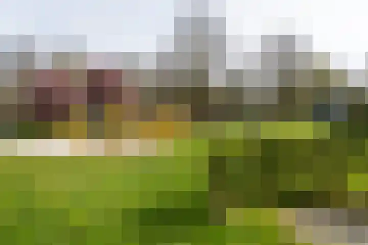 Lepelaar 30 Geldrop thumbnail 50