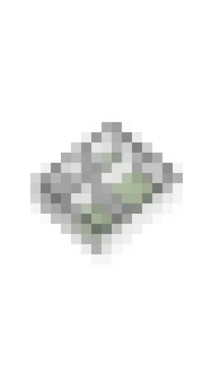 Lepelaar 30 Geldrop thumbnail 52